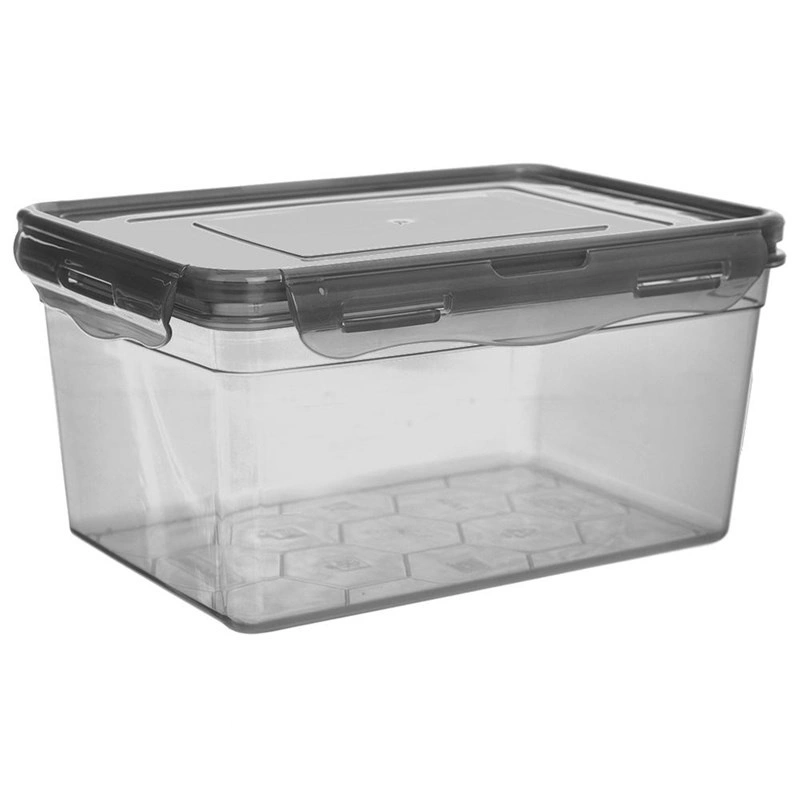 Aufbewahrungsbehälter Aufbewahrungsbox Mehrzweckbox mit Deckel Dichtung Clips für Lebensmittel Kleingegenstände 2,6l