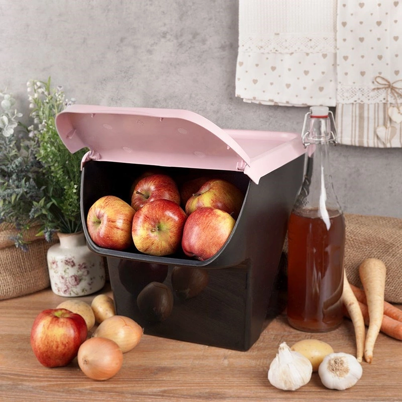Container for vegetables plastic 13l